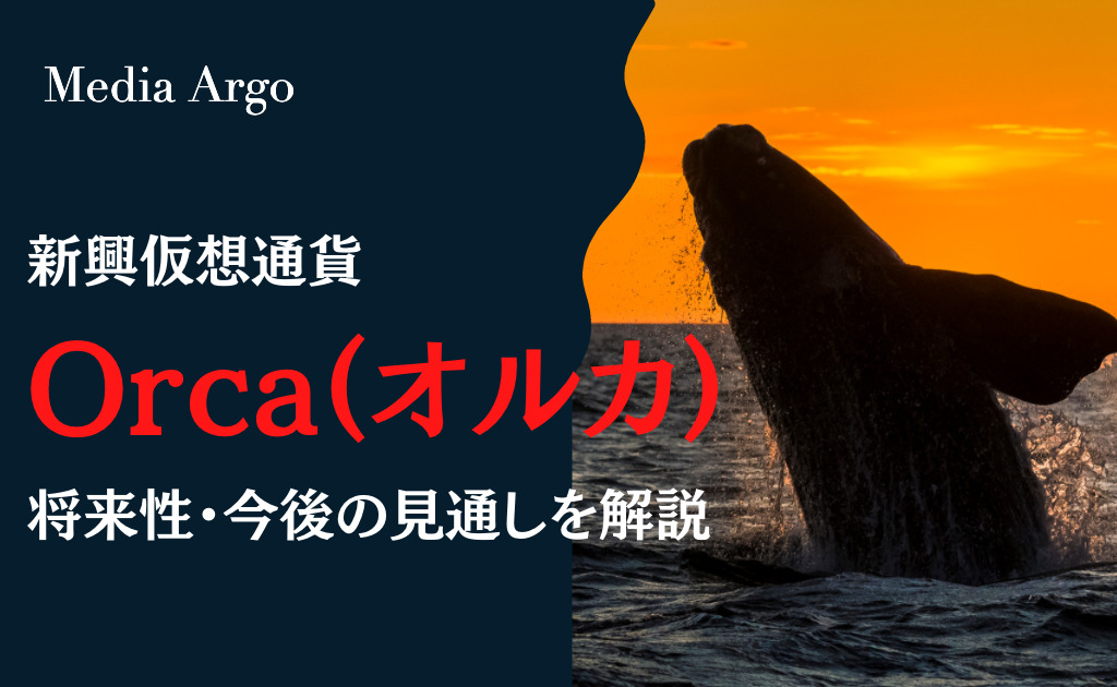 逆輸入 オルカ ORCA - その他